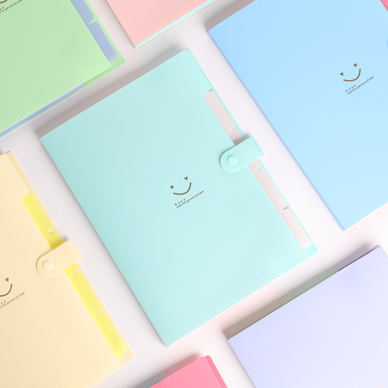 Accordion Document Folder (5 Pockets), A4 Size